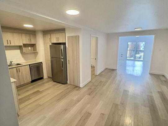 Appartement à louer - Montréal (Villeray/Saint-Michel/Parc-Extension) (Villeray) - Photo 1