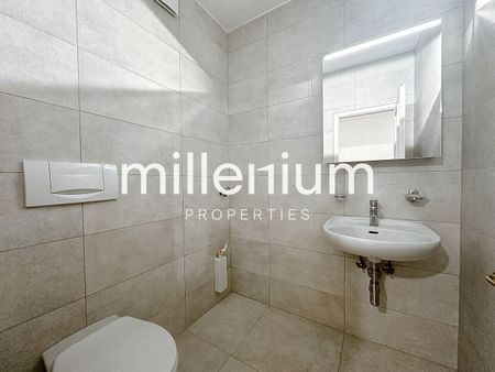 Duplex en attique rénové dans le vieux Carouge - Photo 3