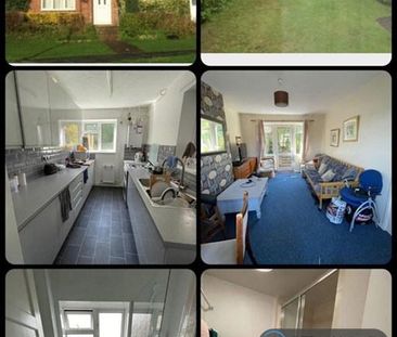 4 bedroom semi-detached house to rent - Photo 1
