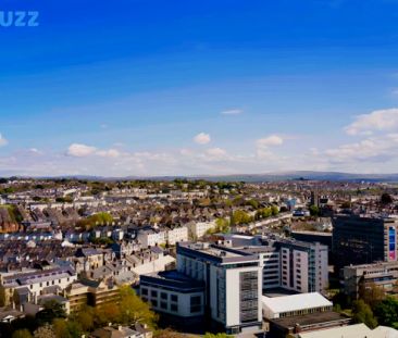 Classic-1 Bed Flat - Photo 2