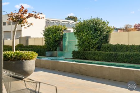 Unit 15/71 Giles St, Kingston ACT 2604 - Apartment For Rent - $750 | Domain - Photo 3