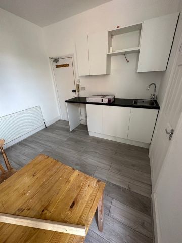 Studio Flat, Myddleton Road, N22 - Photo 4