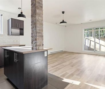 2522 Rue Préfontaine - Photo 5