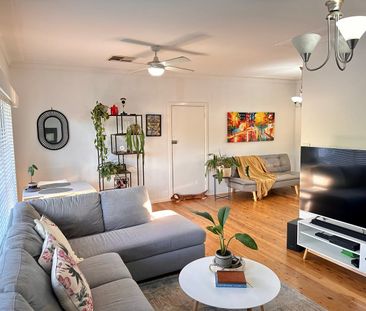 SOUTH TAMWORTH- 3 Bedroom Home - Photo 3