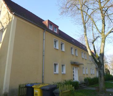 2-Zimmer-Wohnung in Gelsenkirchen Scholven - Photo 2
