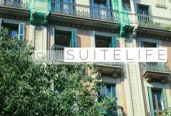 Monsieur Van Damme Lives Upstairs