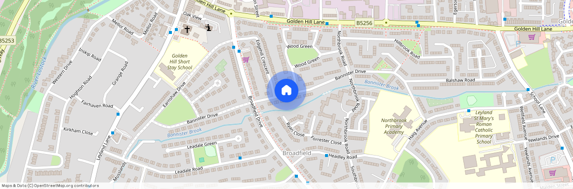 Bannister Drive, Leyland