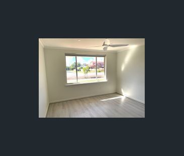 Renovated Home in Prime Central Location - Photo 3