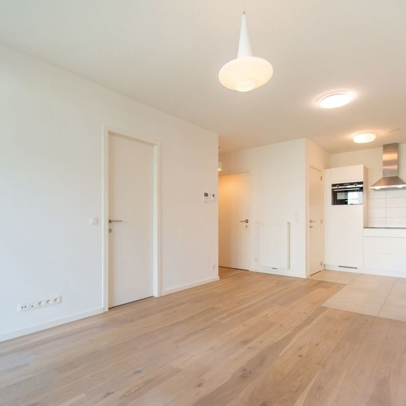 Appartement te huur in Antwerpen voor € 1.100 met 1 slaapkamer - Foto 1