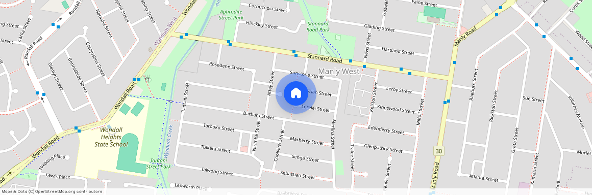 16 Lyrian Street, Qld 4179, Manly West