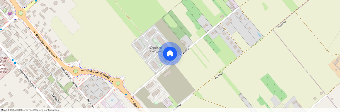 Tyniec, Kalisz, wielkopolskie