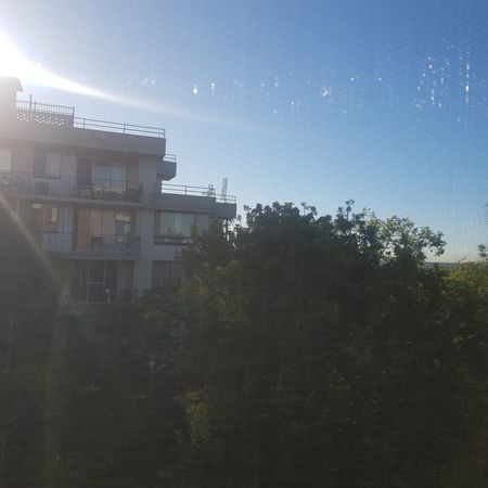 Parramatta - Photo 3