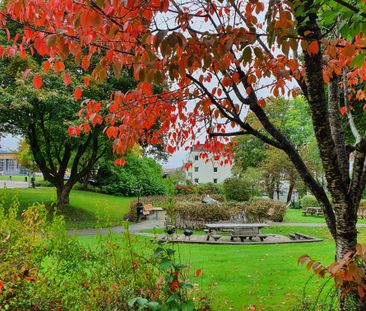 Kungsgatan, Borås - Photo 4