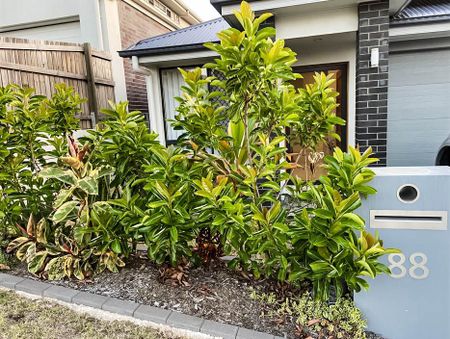 Low Maintenance Yard + Solar! - Photo 3