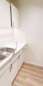 Renovated 1BD+Large Den +1 Bath - Stanley Manor - Photo 4