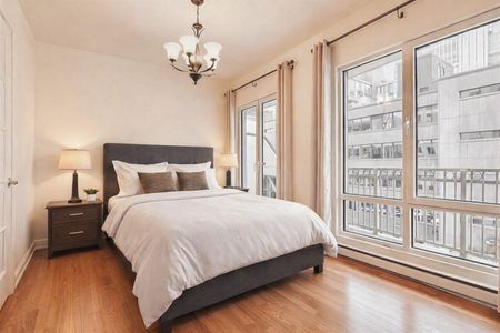 Appartement à louer à Montréal (Ville-Marie) - Photo 2