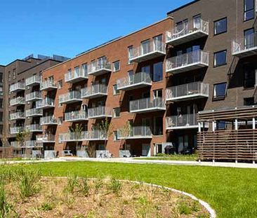 1 værelses lejlighed - Photo 4