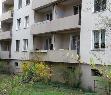 Ruhige 3-Zimmer-Wohnung im Breitequartier in Basel zu vermieten - Photo 5