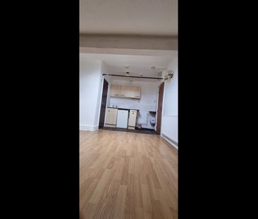 Studio Flat, Gillott Road, B16 - Photo 2