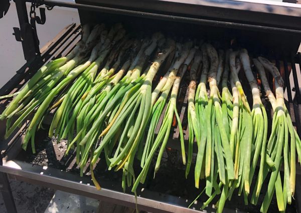 Extraordinaria casa de lujo en alquiler en Vallvidrera