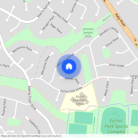 6 Muscat Place, Eschol Park NSW 2558