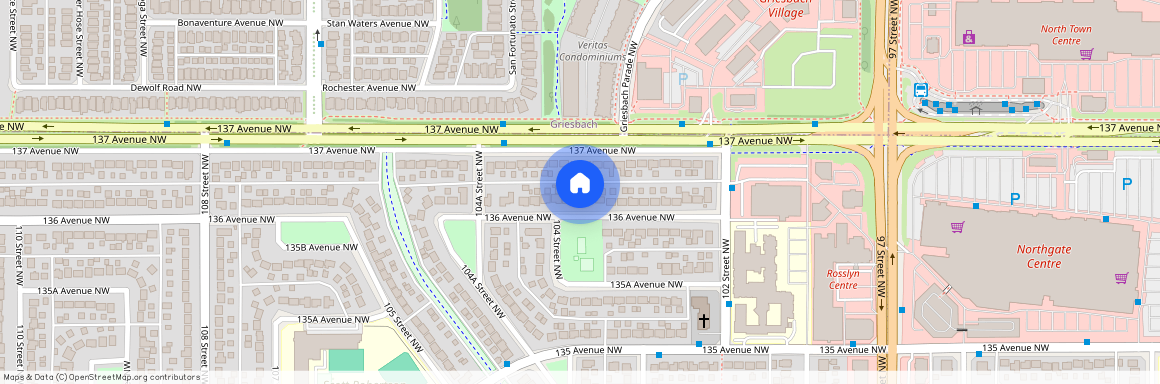 10324 136 Avenue NW, BSMT, Edmonton, AB, CA T5E 1W1