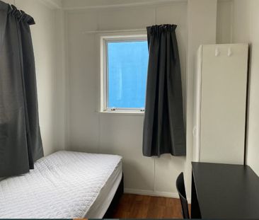 Affordable Carefree and Comfortable - Shared Living in Wellington CBD! - Photo 4