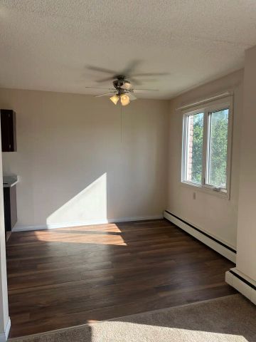 Capital Court - 11510 40 Avenue Northwest — 1 Bedroom - Photo 5