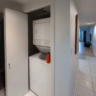 Newly renovated Furnished 2 Beds + 2 Bath apartment Central Richmond - Photo 4