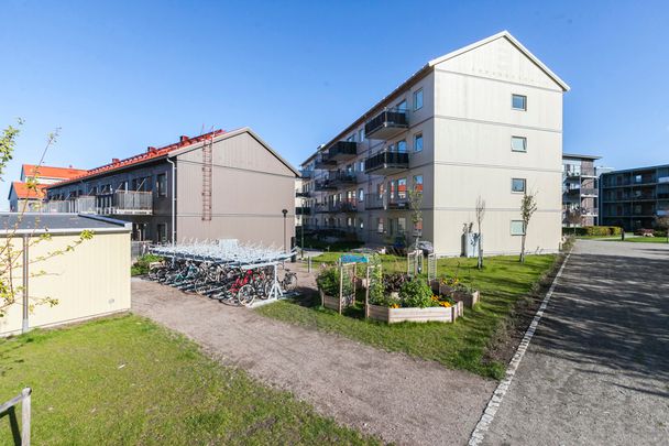 Skräddarebyn 15 C, Bunkeflostrand - Photo 1