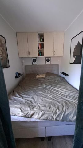 Timmergata, Kolmården - Photo 2