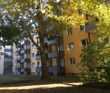 Gemütliche 3-Zimmer-Wohnung mit Balkon in Frankfurt-Sindlingen - Photo 1
