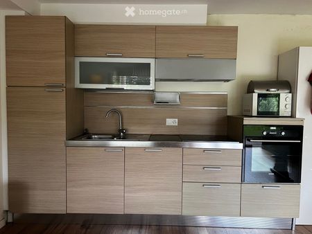 Appartement meublé dans un écrin de verdure - Photo 3