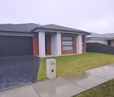 FAMILY HOME IN ALFREDTON CENTRAL NEAR SCHOOLS - Photo 3