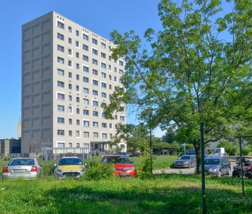 ideale Singlewohnung - Photo 1