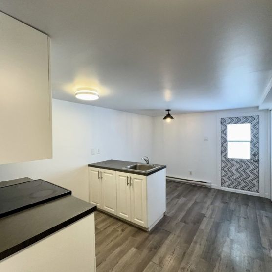 Nouveauté sur le marché Appartement à louer - Montréal (Mercier/Hochelaga-Maisonneuve) (Hochelaga-Maisonneuve) - Photo 1