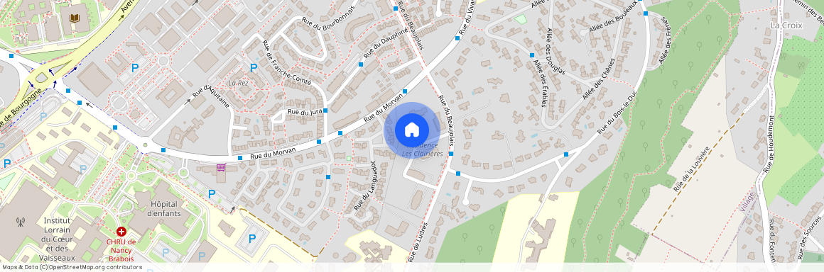 Vandoeuvre Les Nancy