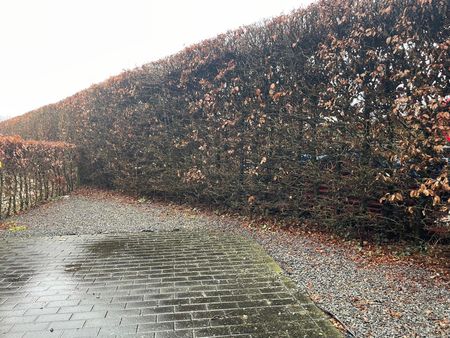 Gelijkvloers appartement met 1 slaapkamer en terras - Foto 4