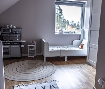 Expressvägen, Vega - Foto 1