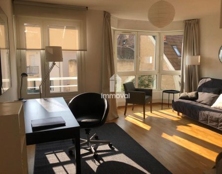 Location Appartement 1 pièce Meublé 30m² STRASBOURG 67000 - Photo 4