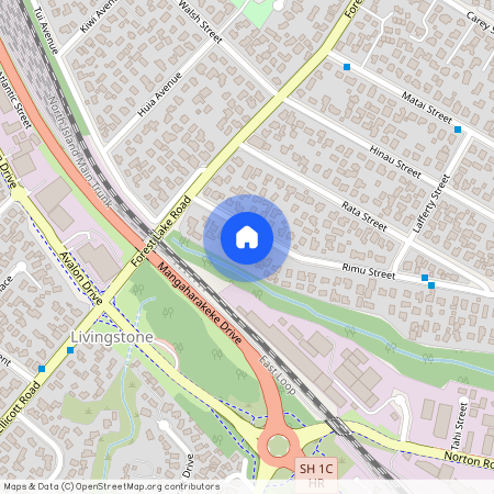 4/155 Rimu Street, Maeroa, Hamilton City