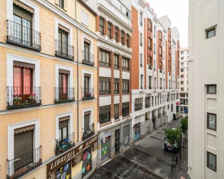 Calle de la Flor Alta, Madrid, Community of Madrid 28013 - Photo 2