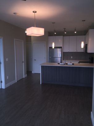 PARALLEL TWO APTS - 403 - P2-403 - Photo 1
