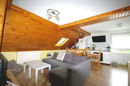Location Appartement 3 pièces 50m² SCHIRMECK 67130 - Photo 3