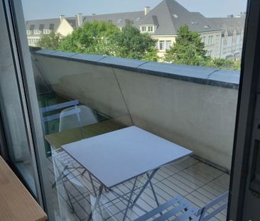 Location Appartement 1 pièce 30m² - Photo 6