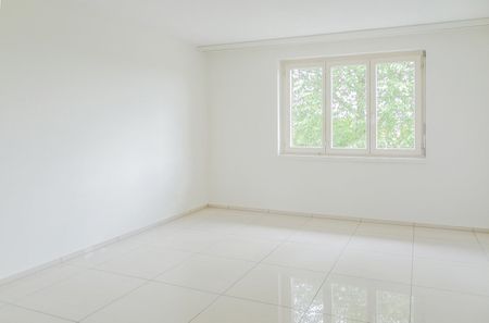 Wohnoase in Zuchwil: Your new home! - Photo 2