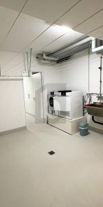 PROPERTY STANDARD IN QUIET LOCATION - Photo 4