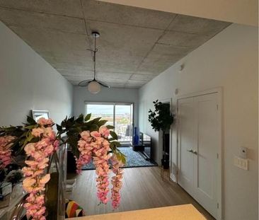 8205 Av. du Cirque, app.830, H1Z 0B5, H1Z 0B5, Montréal - Photo 5