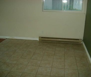 3 1/2 secteur Mercier/Hochelaga-Maisonneuve - Photo 2