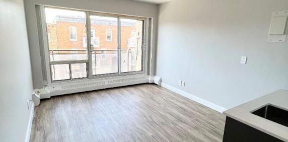 Studio - Montréal - $1,060 /mo - Photo 2